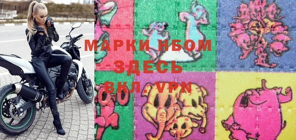 прущие грибы Железноводск