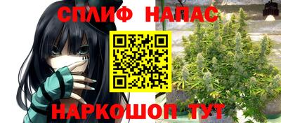 apvp Обнинск