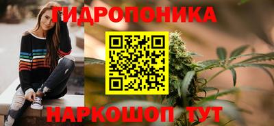 apvp Обнинск