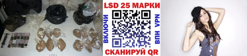 где купить наркотик  Отрадное  LSD-25 экстази ecstasy 