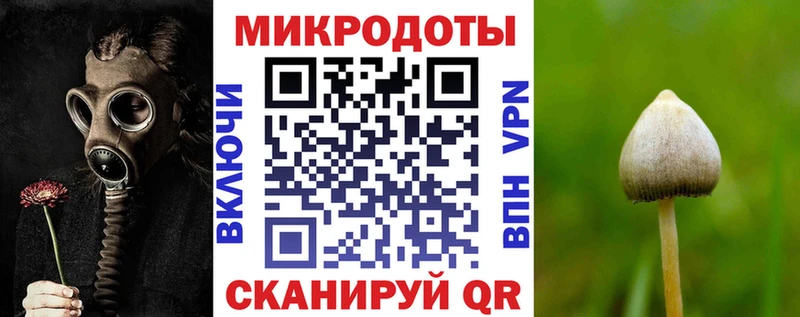 Галлюциногенные грибы Psilocybine cubensis  Отрадное 