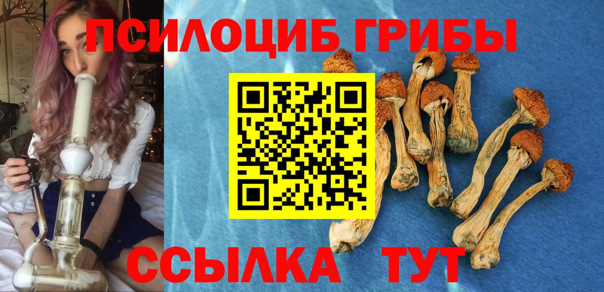 Галлюциногенные грибы мицелий Отрадное