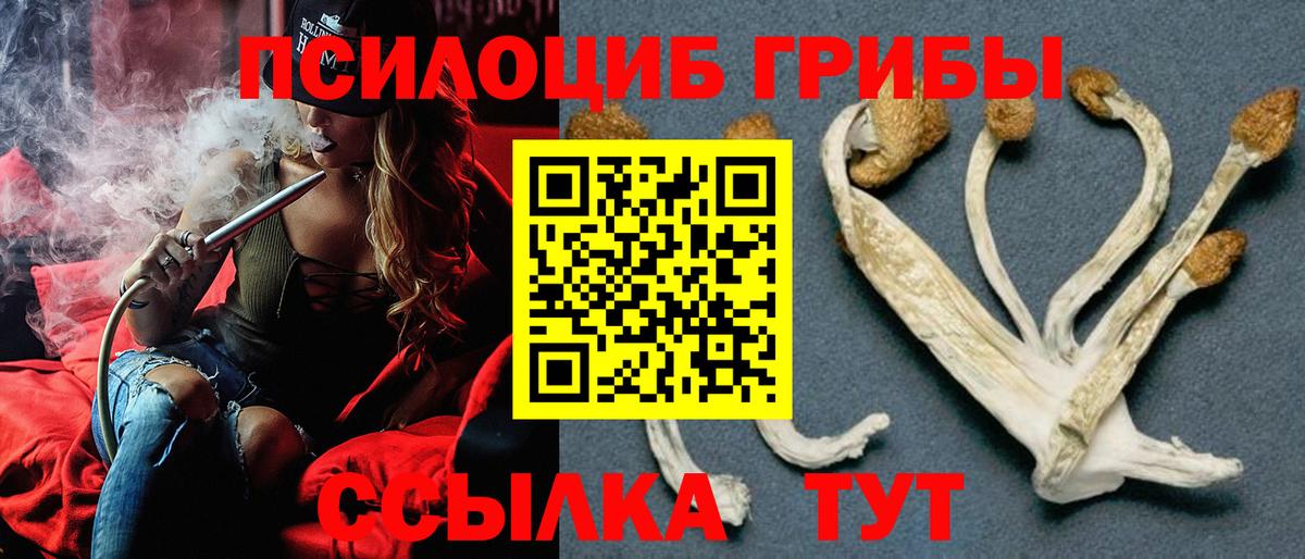 Галлюциногенные грибы Psilocybe Отрадное