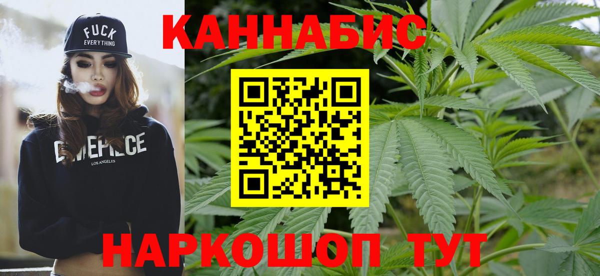 Конопля конопля Отрадное